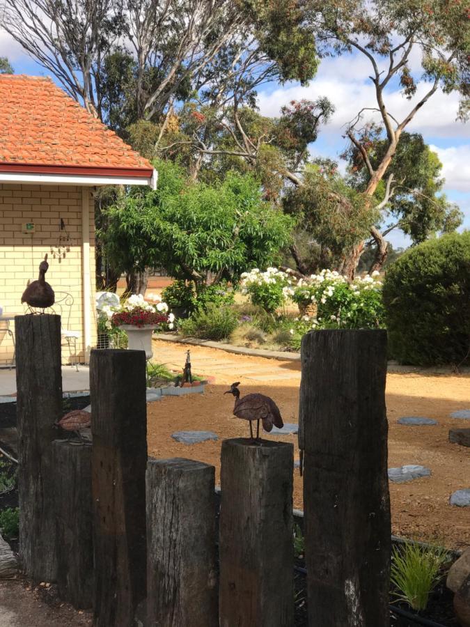 Yellow Gum Bed And Breakfast Katanning Dış mekan fotoğraf