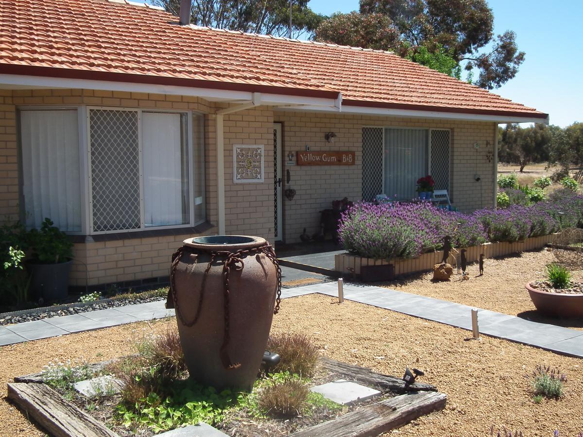 Yellow Gum Bed And Breakfast Katanning Dış mekan fotoğraf